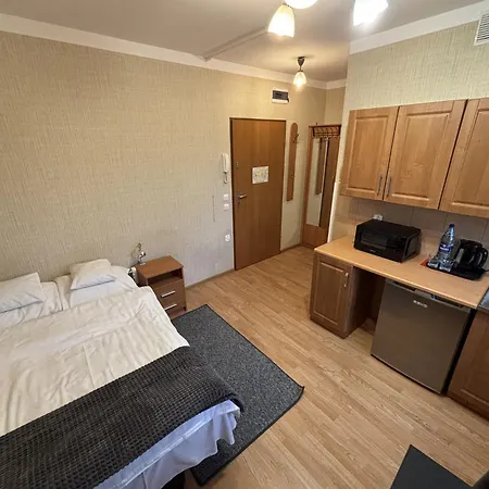 Jn Rzeczna 4 波兹南